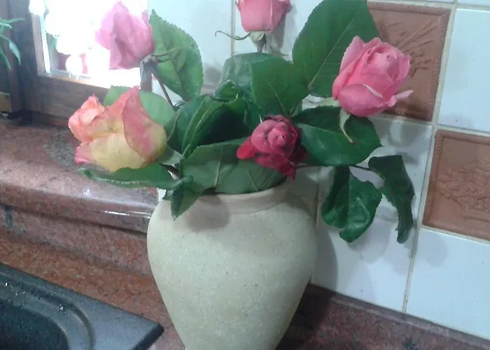 伊尔中庭诺娜住宿加早餐旅馆